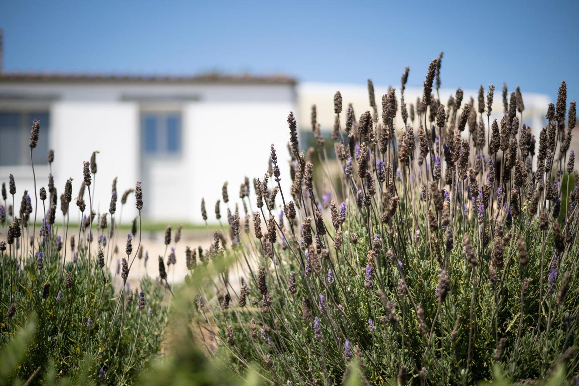 Casa Di Minnanni B&B Santa Teresa Gallura Luaran gambar